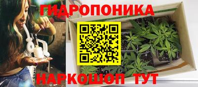 гидра Бузулук