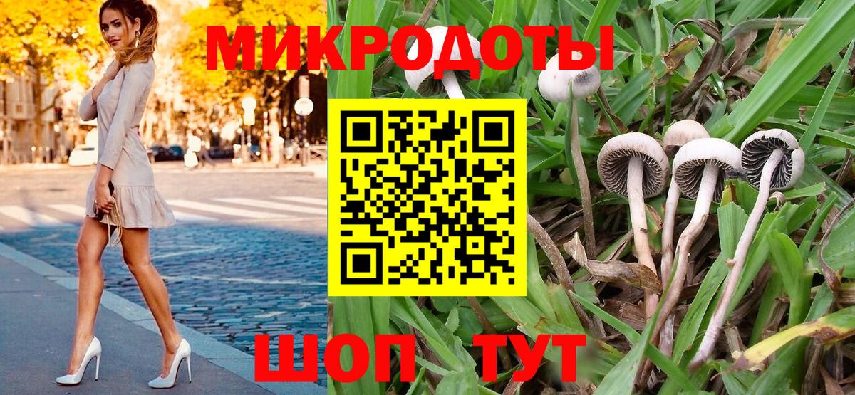 Ростов-на-Дону  Псилоцибиновые грибы Psilocybine cubensis  Вход с VPN 